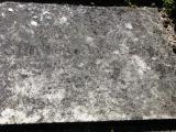 image of grave number 205753